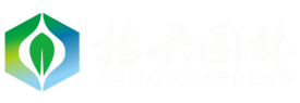 椴树,绚丽海棠,榉树